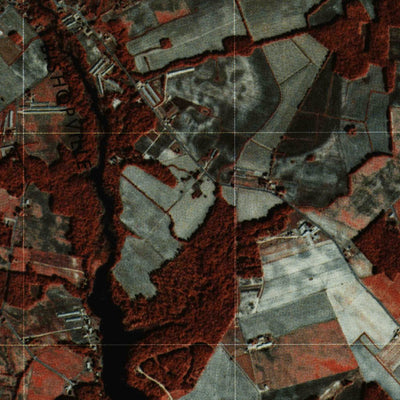 United States Geological Survey Selbyville, DE-MD (1980, 25000-Scale) digital map