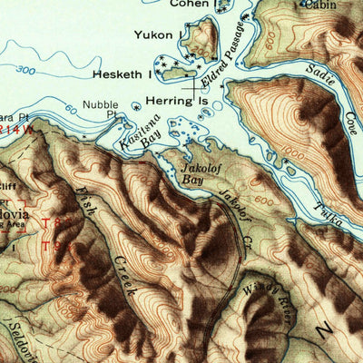 United States Geological Survey Seldovia, AK (1951, 250000-Scale) digital map