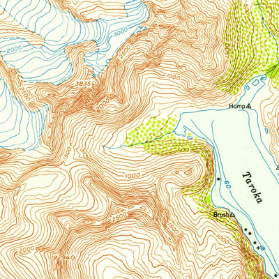 United States Geological Survey Seldovia C-1, AK (1953, 63360-Scale) digital map