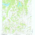 United States Geological Survey Selfs, TX (1984, 24000-Scale) digital map