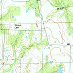 United States Geological Survey Selfs, TX (1984, 24000-Scale) digital map