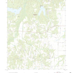 United States Geological Survey Selfs, TX (2022, 24000-Scale) digital map