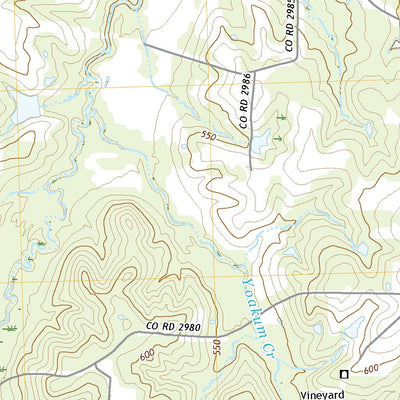 United States Geological Survey Selfs, TX (2022, 24000-Scale) digital map