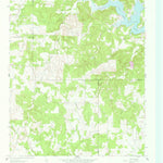United States Geological Survey Selma, TX (1961, 24000-Scale) digital map