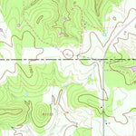 United States Geological Survey Selma, TX (1961, 24000-Scale) digital map