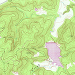 United States Geological Survey Selma, TX (1961, 24000-Scale) digital map
