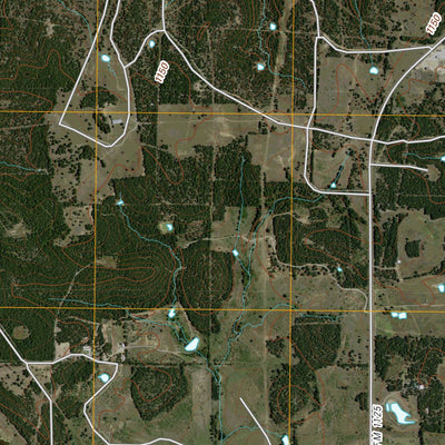United States Geological Survey Selma, TX (2010, 24000-Scale) digital map
