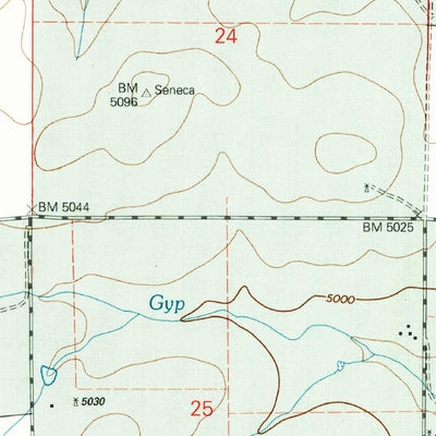United States Geological Survey Seneca, NM (1998, 24000-Scale) digital map