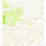 United States Geological Survey Serpentine Bends, NM (1979, 24000-Scale) digital map