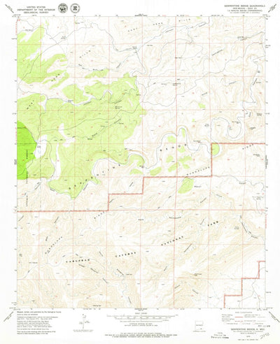 United States Geological Survey Serpentine Bends, NM (1979, 24000-Scale) digital map