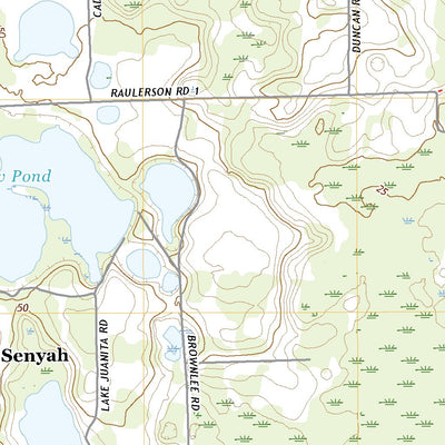 United States Geological Survey Seville, FL (2021, 24000-Scale) digital map