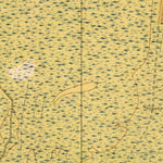 United States Geological Survey Sewee Bay, SC (1919, 21120-Scale) digital map