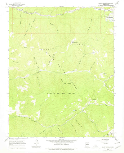 United States Geological Survey Shady Brook, NM (1965, 24000-Scale) digital map