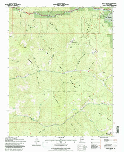United States Geological Survey Shady Brook, NM (1995, 24000-Scale) digital map