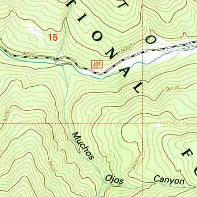 United States Geological Survey Shady Brook, NM (1995, 24000-Scale) digital map