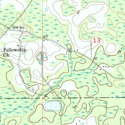 United States Geological Survey Shady Grove, FL (1955, 24000-Scale) digital map