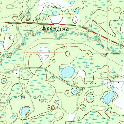 United States Geological Survey Shady Grove, FL (1955, 24000-Scale) digital map