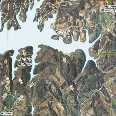 United States Geological Survey Shady Grove, TN (2010, 24000-Scale) digital map