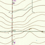 United States Geological Survey Shallowater, TX (1956, 24000-Scale) digital map