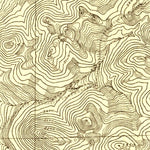 United States Geological Survey Shasta Valley Sheet No 5, CA (1922, 24000-Scale) digital map