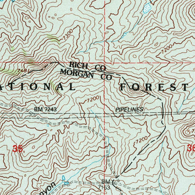 United States Geological Survey Shearing Corral, UT (1998, 24000-Scale) digital map