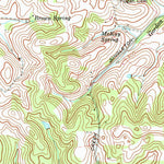United States Geological Survey Shelbyville, TN (1966, 24000-Scale) digital map