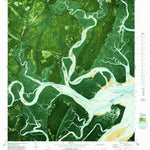 United States Geological Survey Shellman Bluff, GA (1979, 24000-Scale) digital map