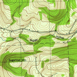 United States Geological Survey Sherburne, NY (1945, 31680-Scale) digital map