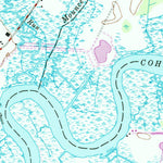 United States Geological Survey Shiloh, NJ (1947, 24000-Scale) digital map
