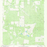 United States Geological Survey Shipp Ranch, TX (1980, 24000-Scale) digital map