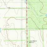 United States Geological Survey Shipp Ranch, TX (1980, 24000-Scale) digital map