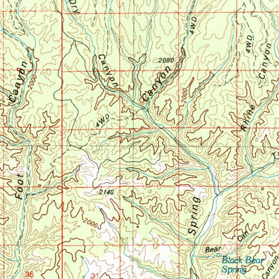 United States Geological Survey Show Low, AZ (1981, 100000-Scale) digital map