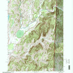 United States Geological Survey Shushan, NY-VT (1995, 24000-Scale) digital map