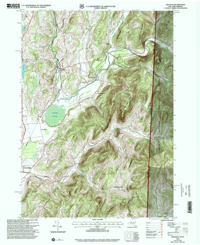United States Geological Survey Shushan, NY-VT (1995, 24000-Scale) digital map