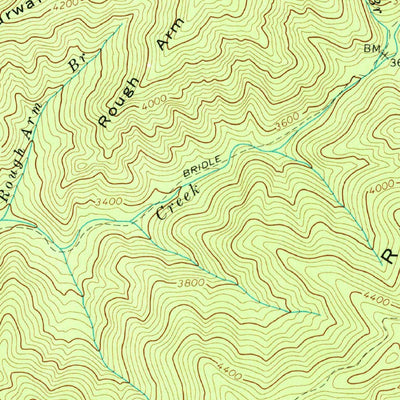 United States Geological Survey Silers Bald, NC-TN (1964, 24000-Scale) digital map