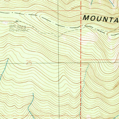 United States Geological Survey Silver Peak, OR (1989, 24000-Scale) digital map