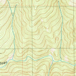 United States Geological Survey Silver Peak, OR (1989, 24000-Scale) digital map