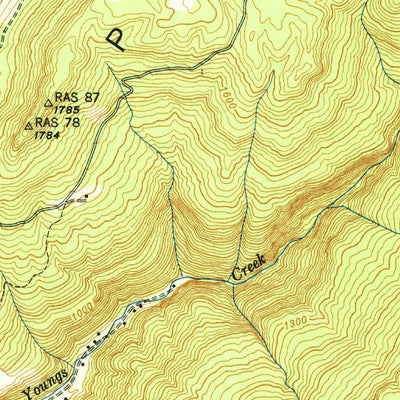 United States Geological Survey Sinking Cove, TN (1950, 24000-Scale) digital map