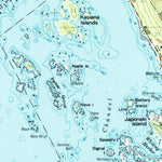 United States Geological Survey Sitka A-5, AK (1951, 63360-Scale) digital map