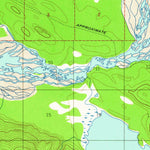 United States Geological Survey Skagway B-3, AK (1954, 63360-Scale) digital map