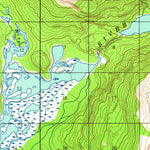 United States Geological Survey Skagway C-3, AK (1954, 63360-Scale) digital map