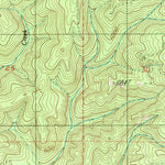 United States Geological Survey Skamokawa Pass, WA (1985, 24000-Scale) digital map