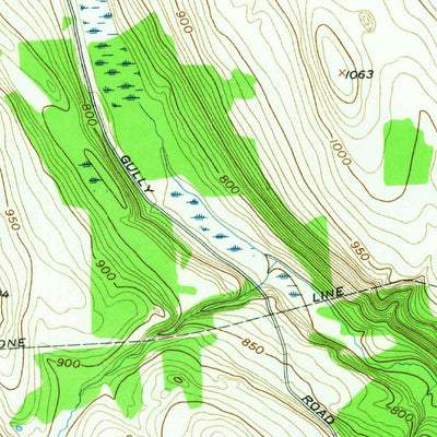 United States Geological Survey Skaneateles, NY (1955, 24000-Scale) digital map