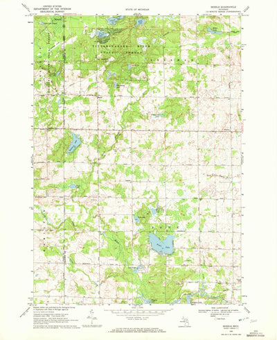 United States Geological Survey Skeels, MI (1969, 24000-Scale) digital map