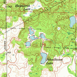 United States Geological Survey Skeels, MI (1969, 24000-Scale) digital map