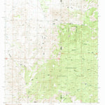 United States Geological Survey Skeleton Canyon, NM-AZ (1987, 24000-Scale) digital map