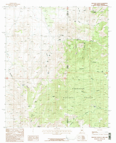 United States Geological Survey Skeleton Canyon, NM-AZ (1987, 24000-Scale) digital map