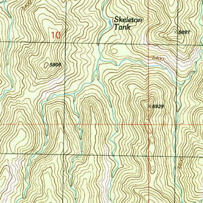 United States Geological Survey Skeleton Canyon, NM-AZ (1997, 24000-Scale) digital map