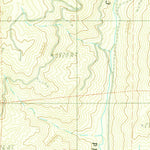 United States Geological Survey Skeleton Mountain, OR (1983, 24000-Scale) digital map