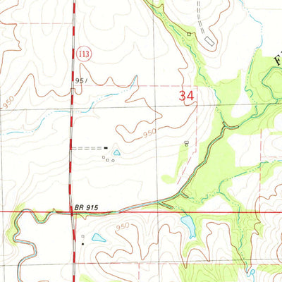 United States Geological Survey Skidmore, MO (1981, 24000-Scale) digital map